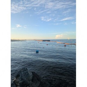 IMG_2012