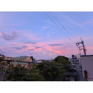 IMG_2017